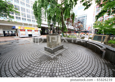 澀谷的緊急宣言 澀谷的緊急宣言 65826239