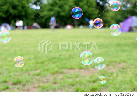 肥皂泡_公園 65826289