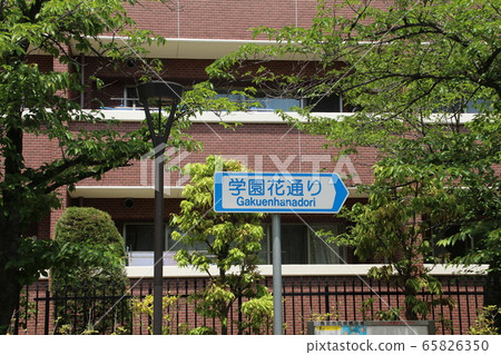 Kansai Gakuin Gakuen Hana-dori 65826350