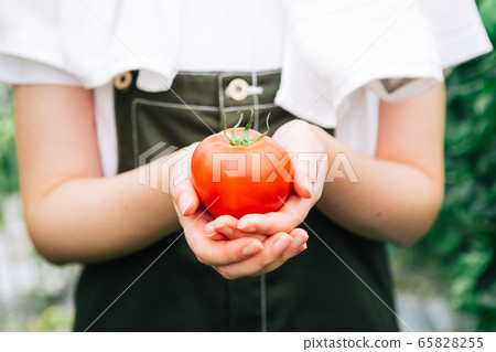 消費形象 65828255