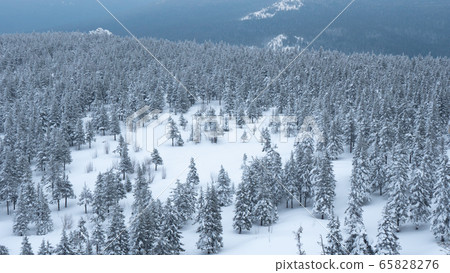 Snow-capped peaks of Taganai National Park located in the South Urals. Snow-capped peaks of Taganai National Park located in the South Urals. 65828276