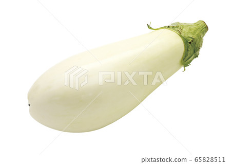 White eggplant 10 (with pass) 65828511