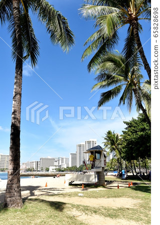 夏威夷的假期 夏威夷的假期 65828698