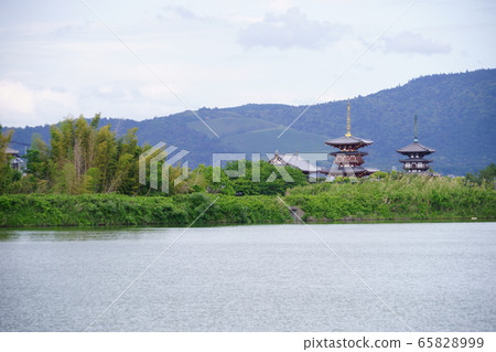 大池的Yakushiji東塔和西塔2 大池的Yakushiji東塔和西塔2 65828999