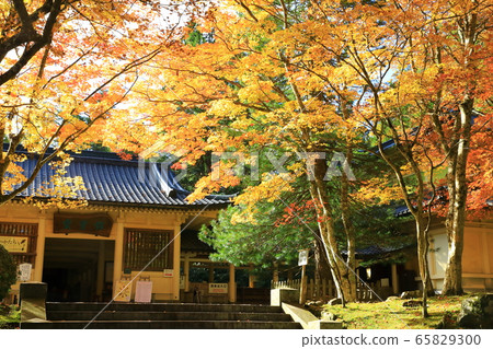 Koyasan autumn leaves and Reihokan 65829300