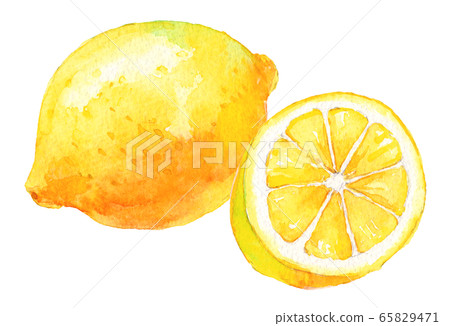 水彩檸檬_ 1切成薄片 65829471