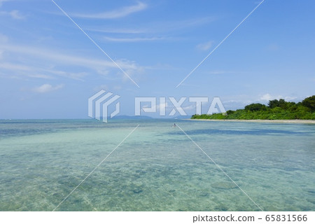 海水季節快到了 海水季節快到了 65831566