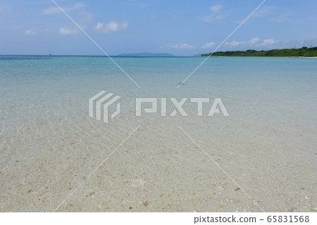 海水季節快到了 65831568
