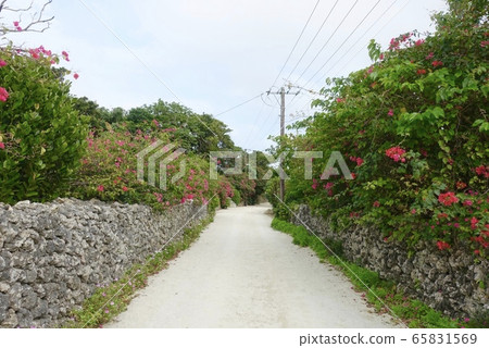 諾多卡路 諾多卡路 65831569