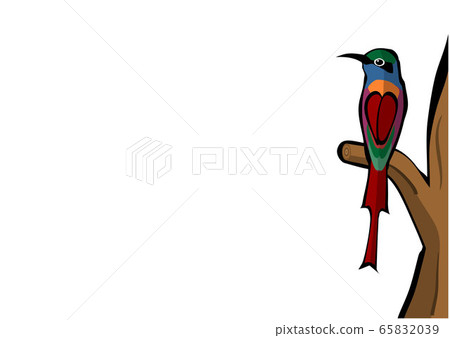 Rear view of bee eater over tree branch 65832039