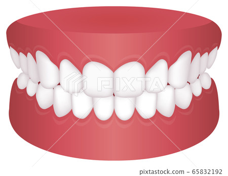 牙齒對齊，牙列，錯牙合類型矢量圖/美麗的牙齒對齊 65832192