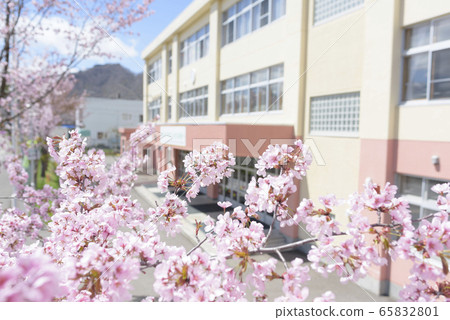 Sakura and school Sakura and school 65832801