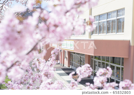 Sakura and school 65832803