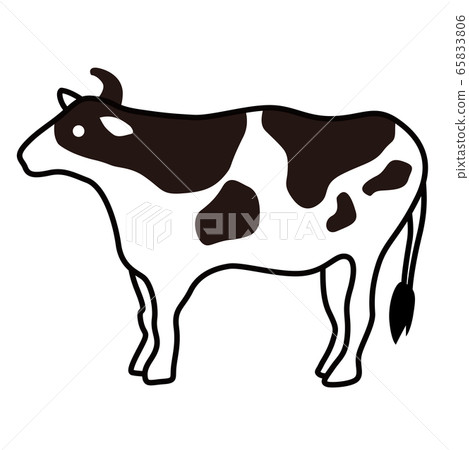 Cattle illustration - Stock Illustration [65833806] - PIXTA