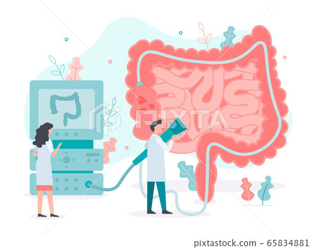 Colonoscopy bowel health concept 65834881