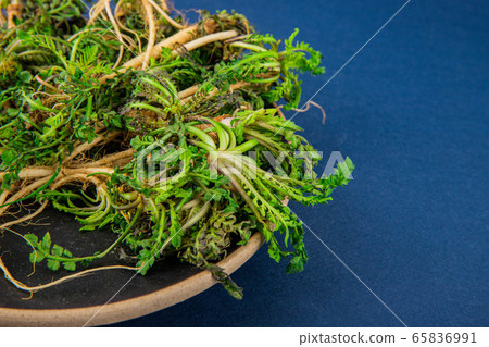 Spring vegetables and herbs, close up of nutritious greens sprouting in spring. 203 65836991