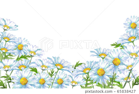 Margaret flower frame 65838427