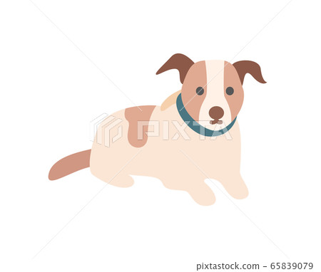 Domestic Dog, Pet Sitting on Floor, Animal Vector 65839079