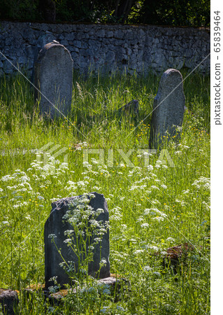 Very old abandoned Jewish cemetery Very old abandoned Jewish cemetery 65839464