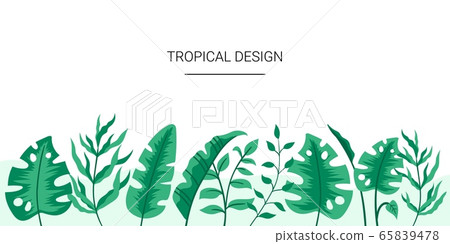 Fresh natural design with green tropical leaves. Fresh natural design with green tropical leaves. 65839478