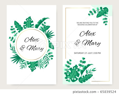 Set of cards with green tropical leaves. Set of cards with green tropical leaves. 65839524