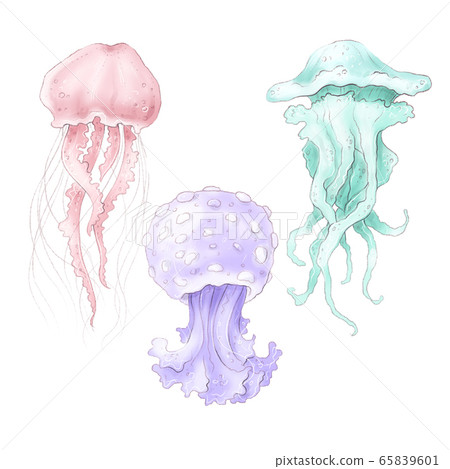 Digital clipart set of multicolored jellyfish 65839601