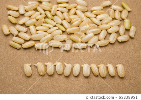 Germinated brown rice, lined up, cute, germinated, face to face, bokeh 65839951