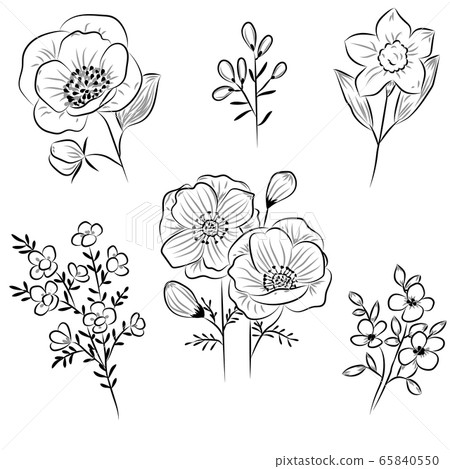 Flowers drawing with line-art on white backgrounds. Flowers drawing with line-art on white backgrounds. 65840550