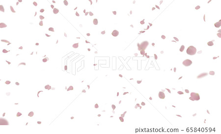 Rose rose petals flying particles confetti confetti illustration background background Rose rose petals flying particles confetti confetti illustration background background 65840594