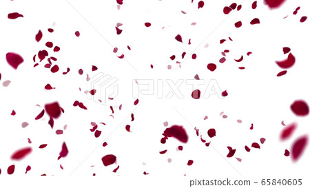 Rose rose petals flying particles confetti confetti illustration background background Rose rose petals flying particles confetti confetti illustration background background 65840605