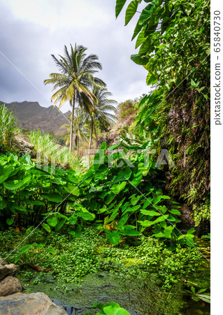 Paul Valley landscape in Santo Antao island, Cape Paul Valley landscape in Santo Antao island, Cape 65840730