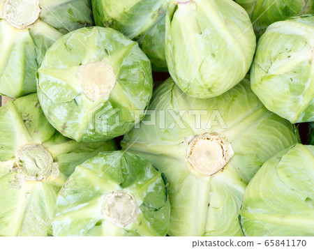 Cabbage background. 65841170
