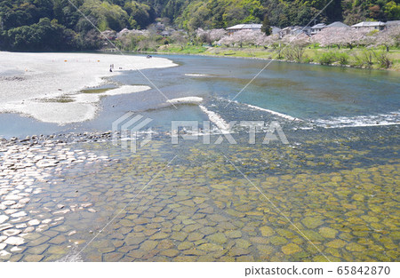 View of Nishiki River and the riverside where cherry blossoms bloom View of Nishiki River and the riverside where cherry blossoms bloom 65842870