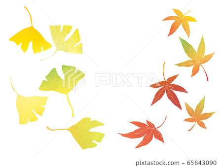 Autumn leaves and ginkgo material illustration (watercolor) 65843090