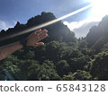 光明 65843128