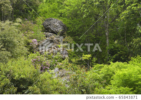 Tengu Rock (Kimino Town, Seagrass County, Wakayama Prefecture) 65843871