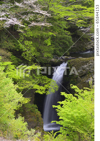 Koya Otaki (Koya-cho, Ito-gun, Wakayama Prefecture) 65844153