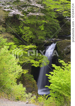 Koya Otaki (Koya-cho, Ito-gun, Wakayama Prefecture) 65844154