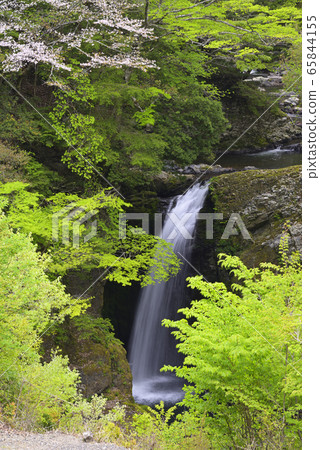 Koya Otaki (Koya-cho, Ito-gun, Wakayama Prefecture) 65844155
