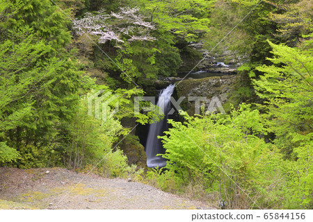 大谷幸喜（和歌山縣伊東郡高野町） 65844156