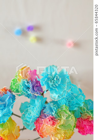 Carnation 202005025dm21 Carnation 202005025dm21 65844320