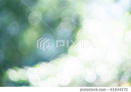 新鮮的綠色模糊散景 65844572