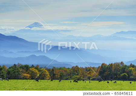 Scenery from Hokuto City, Yamanashi Prefecture (mountain-like Mt. Fuji and mountains, ranch) 65845611