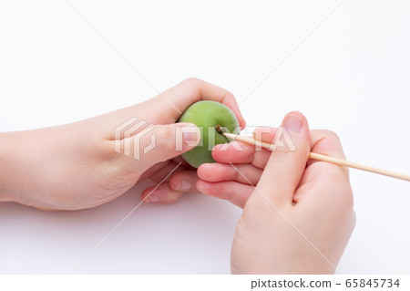 Ome making plum wine, remove the stale attached to the plum fruit with a bamboo skewer Ome making plum wine, remove the stale attached to the plum fruit with a bamboo skewer 65845734