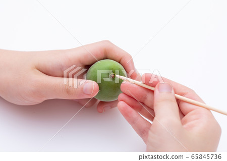 Ome making plum wine, remove the stale attached to the plum fruit with a bamboo skewer Ome making plum wine, remove the stale attached to the plum fruit with a bamboo skewer 65845736