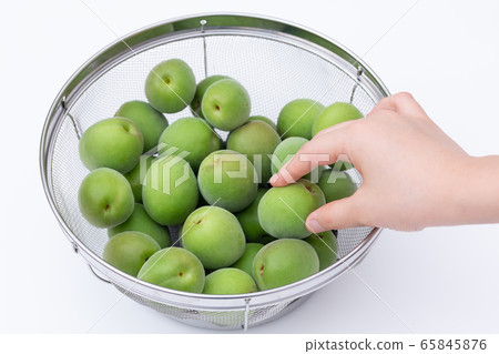 Ome making Umeshu, sorting out the many plums in a colander 65845876