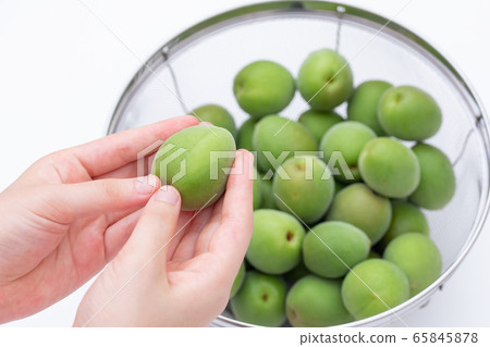 Ome making Umeshu, sorting out the many plums in a colander Ome making Umeshu, sorting out the many plums in a colander 65845878