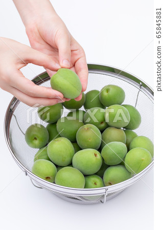 Ome making Umeshu, sorting out the many plums in a colander Ome making Umeshu, sorting out the many plums in a colander 65845881