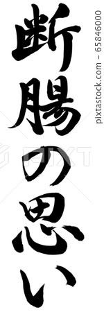 Fecal disorder 65846000