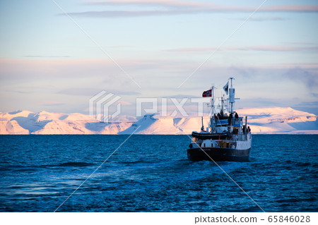 Arctic cruise 65846028